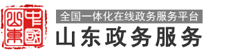 山东政务服务网 德州市•平原县