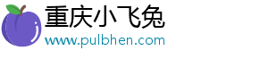重庆小飞兔电子商务有限公司