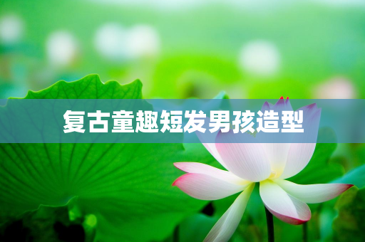 小达网