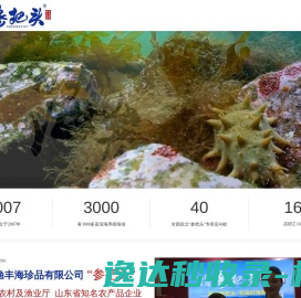 淡干海参,拉缸盐海参,海米