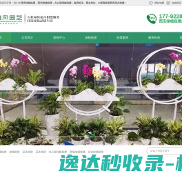 西安绿植租赁,西安绿植租摆,西安花卉租赁,绿植租摆,绿植租赁,办公室绿植租摆