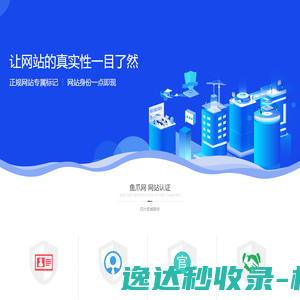 网站开发